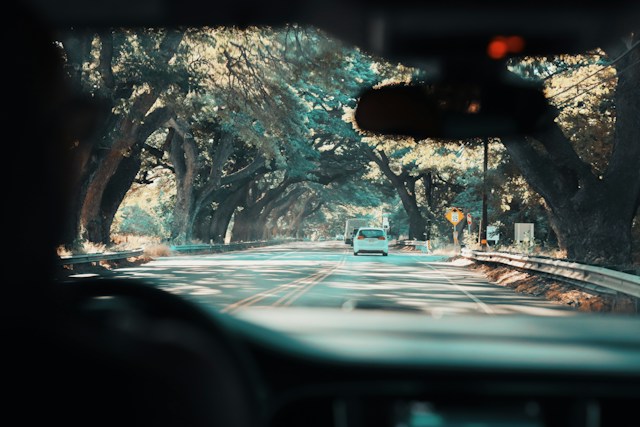 View from inside a car looking at the windshield while driving through Hana.