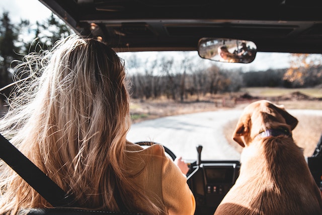A lady in her car with her dog as she enjoys her trip along a planned route.