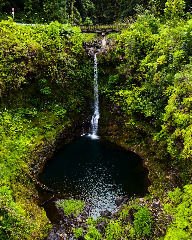 A lush rainforest waterfall next to the road to Hana.